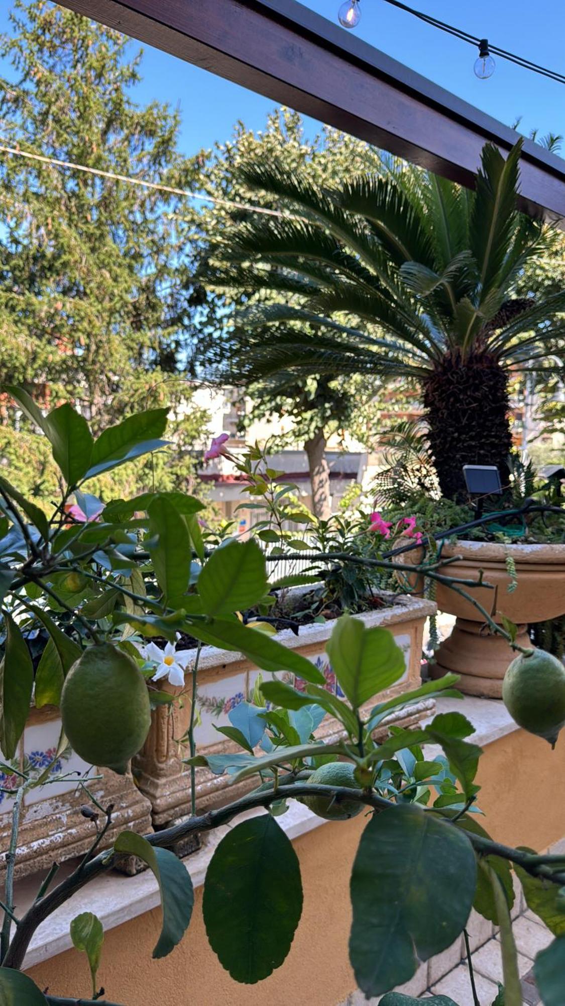 לינה וארוחת בוקר Relais Sorrento Terrace And Relax מראה חיצוני תמונה